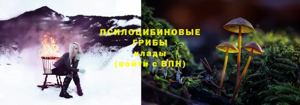 ешки Майский