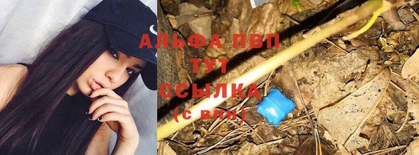 дживик Лабытнанги