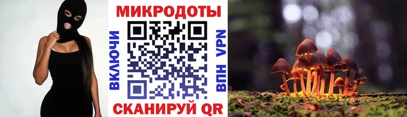 Купить закладки  Долинск  Псилоцибиновые грибы GOLDEN TEACHER 